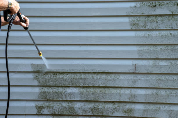 Best Same-Day Junk Removal Services  in Philmont, NY